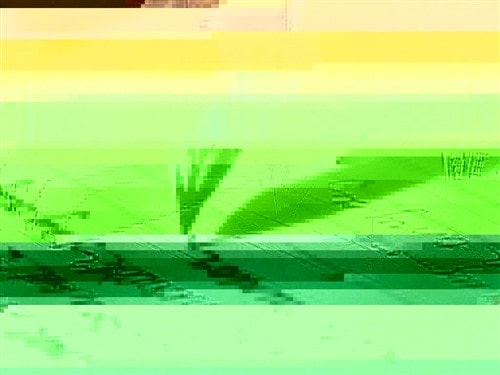 KOH JING, CAROLYN (GAO JIN)