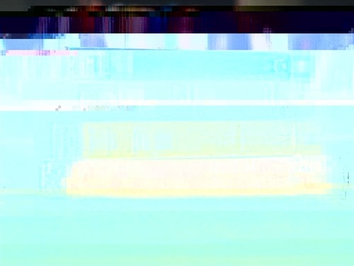 LEE HUI ZHONG VANDA CRISTAL (LI HUIZHONG)