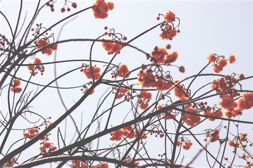 YUEN WEI LOON SAMUEL
